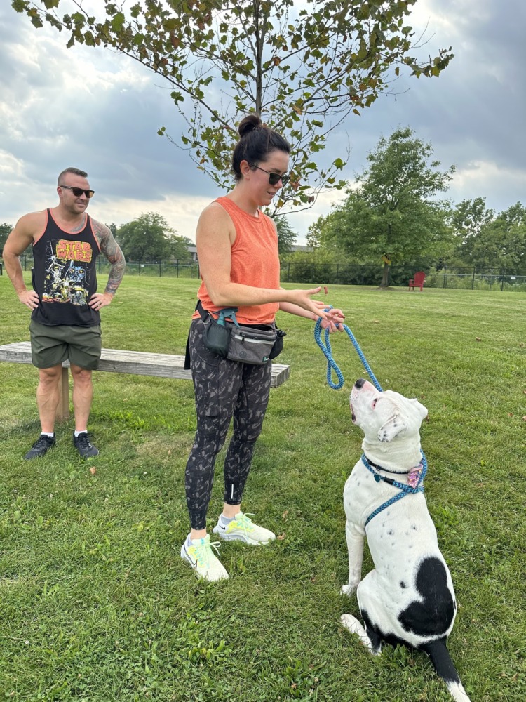 a volunteer with a dog at Franklin County Dog Shelter