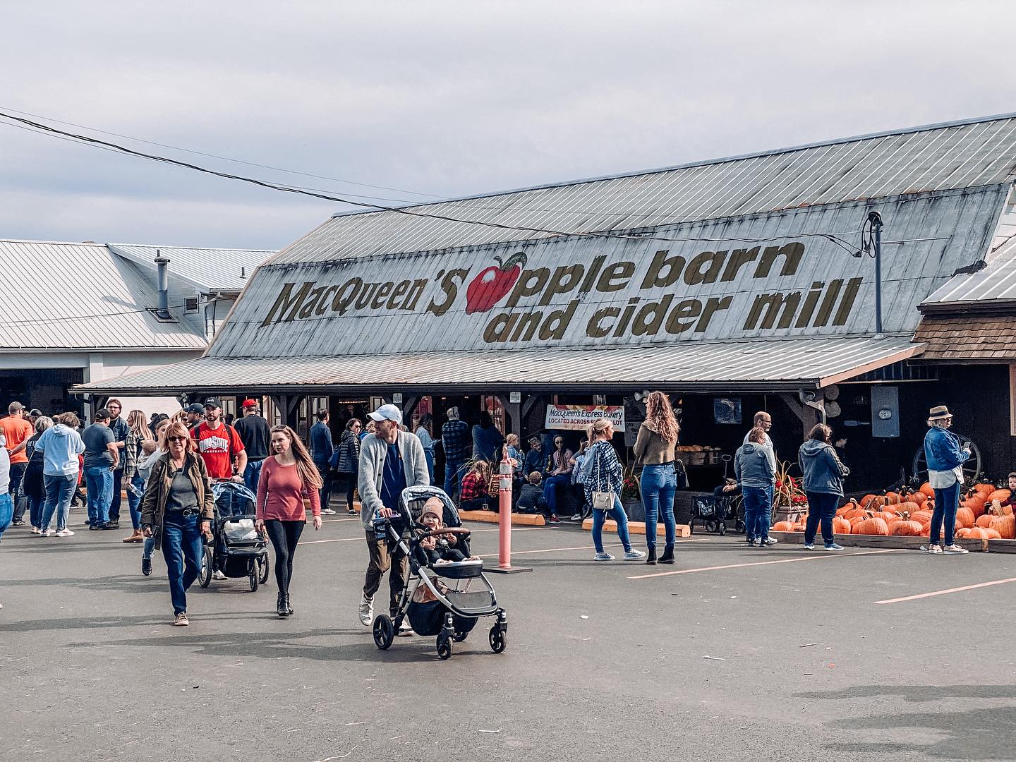 macqueens cider mill