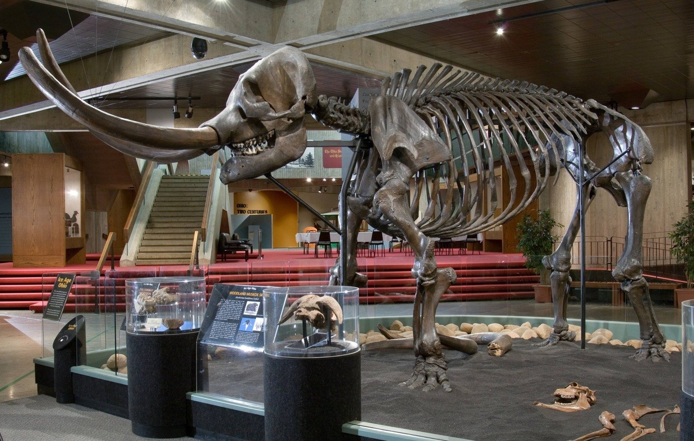 mastodon skeleton at Ohio history center